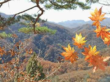 司马方特色小吃,司马景区